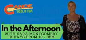 In The Afternoon – Sara Montgomery