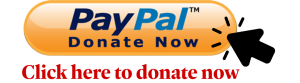 PayPal Donate Now